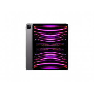 APPLE 12.9-inch iPad Pro (6th) Wi_Fi 256GB - Space Grey APPLE 12.9-inch iPad Pro (6th) Wi_Fi 256GB - Space Grey